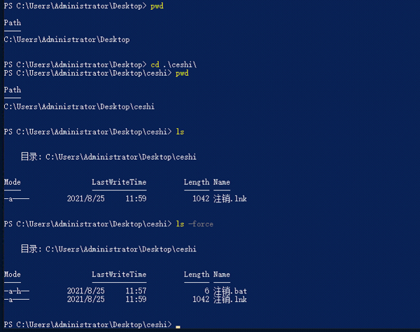 PowerShell ls命令显示隐藏文件参数